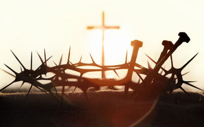 “Terrível e Maravilhoso”