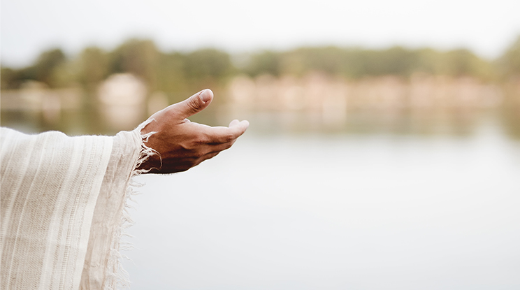 O Libertador Prometido