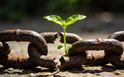 Caí de novo, e agora?